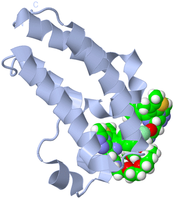 Image Biological Unit 1