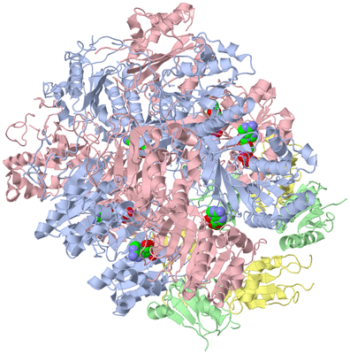 Image Biological Unit 1