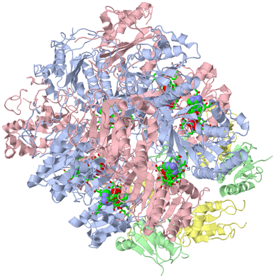 Image Biol. Unit 1 - sites