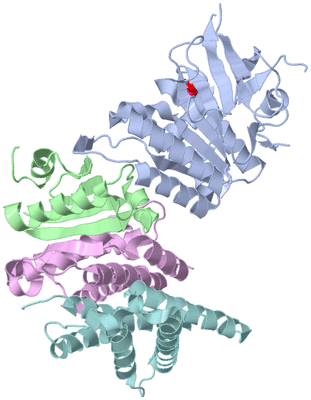 Image Biological Unit 1