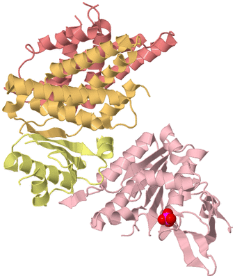 Image Biological Unit 2