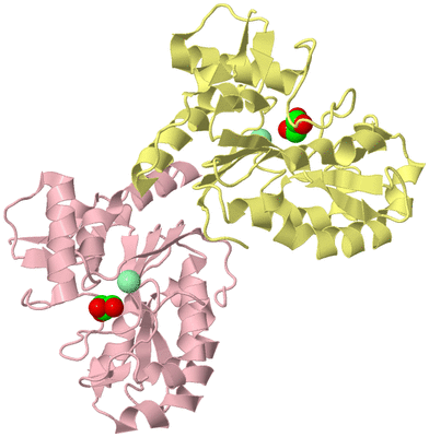 Image Biological Unit 2