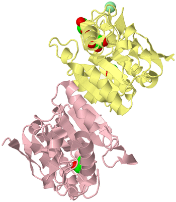 Image Biological Unit 2