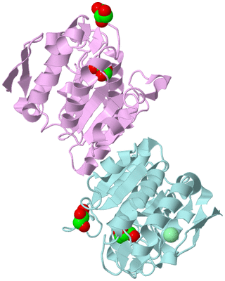 Image Biological Unit 3