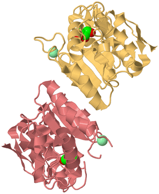 Image Biological Unit 4