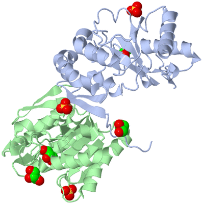 Image Asym./Biol. Unit