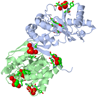 Image Asym./Biol. Unit - sites