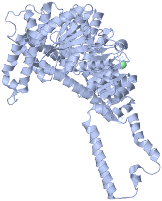 Image Biological Unit 1