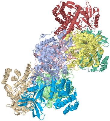 Image Biological Unit 1