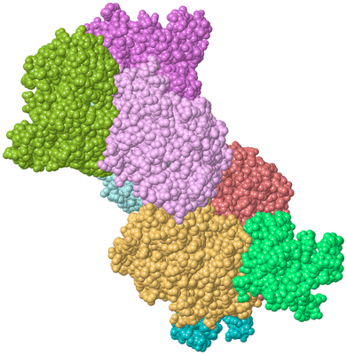 Image Biological Unit 2