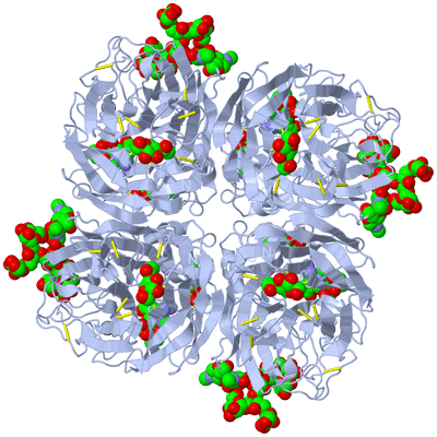 Image Biological Unit 1