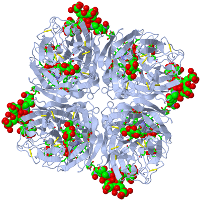 Image Biol. Unit 1 - sites