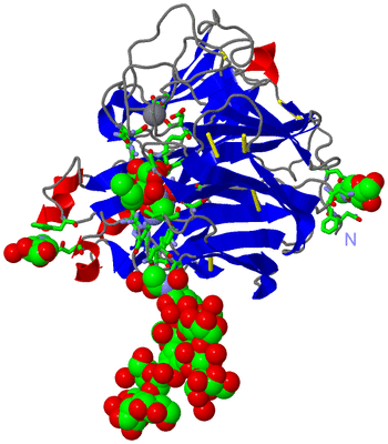 Image Asym. Unit - sites