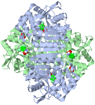 Image Biological Unit 1