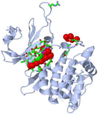 Image Biol. Unit 1 - sites