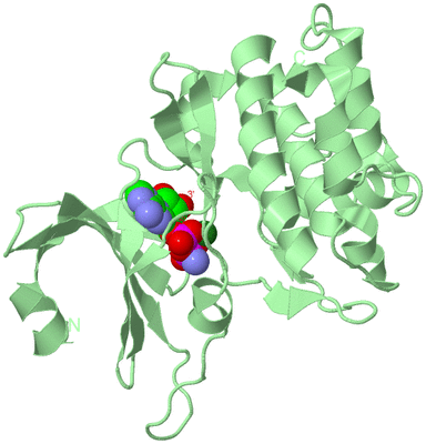 Image Biological Unit 2