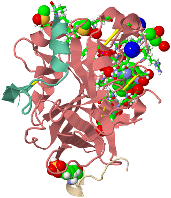 Image Asym./Biol. Unit - sites