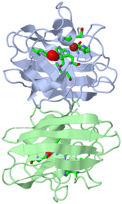 Image Biol. Unit 1 - sites