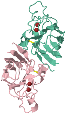 Image Biological Unit 2