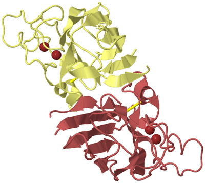 Image Biological Unit 3