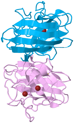 Image Biological Unit 4