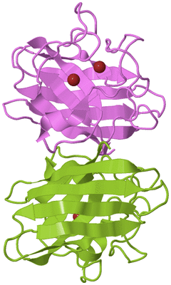 Image Biological Unit 7