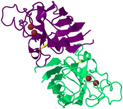 Image Biological Unit 9