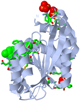 Image Biol. Unit 1 - sites