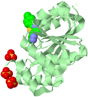 Image Biological Unit 2