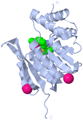 Image Biological Unit 1