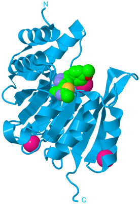 Image Biological Unit 10