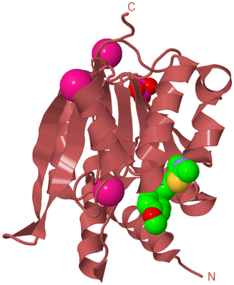 Image Biological Unit 11