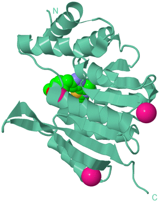 Image Biological Unit 12