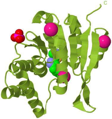 Image Biological Unit 13