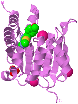 Image Biological Unit 14