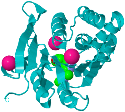 Image Biological Unit 15