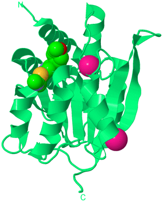 Image Biological Unit 16