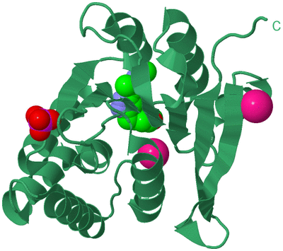 Image Biological Unit 17