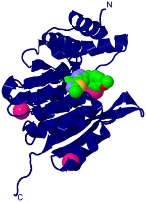 Image Biological Unit 18