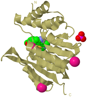 Image Biological Unit 19