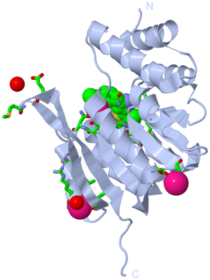 Image Biol. Unit 1 - sites