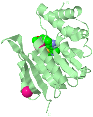 Image Biological Unit 2