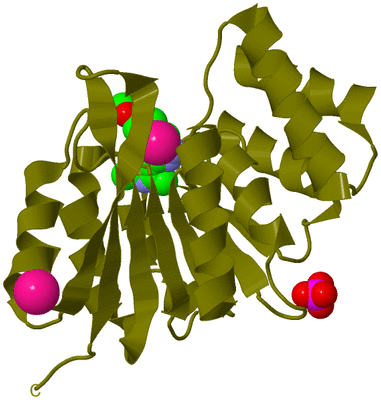 Image Biological Unit 22