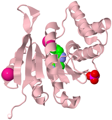 Image Biological Unit 3