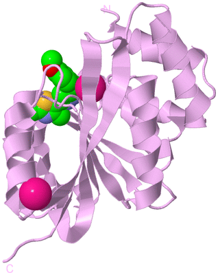 Image Biological Unit 5