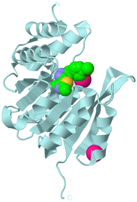 Image Biological Unit 6