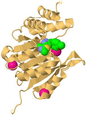 Image Biological Unit 7