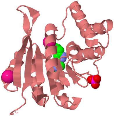 Image Biological Unit 8