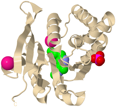 Image Biological Unit 9