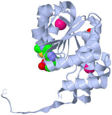 Image Biological Unit 1